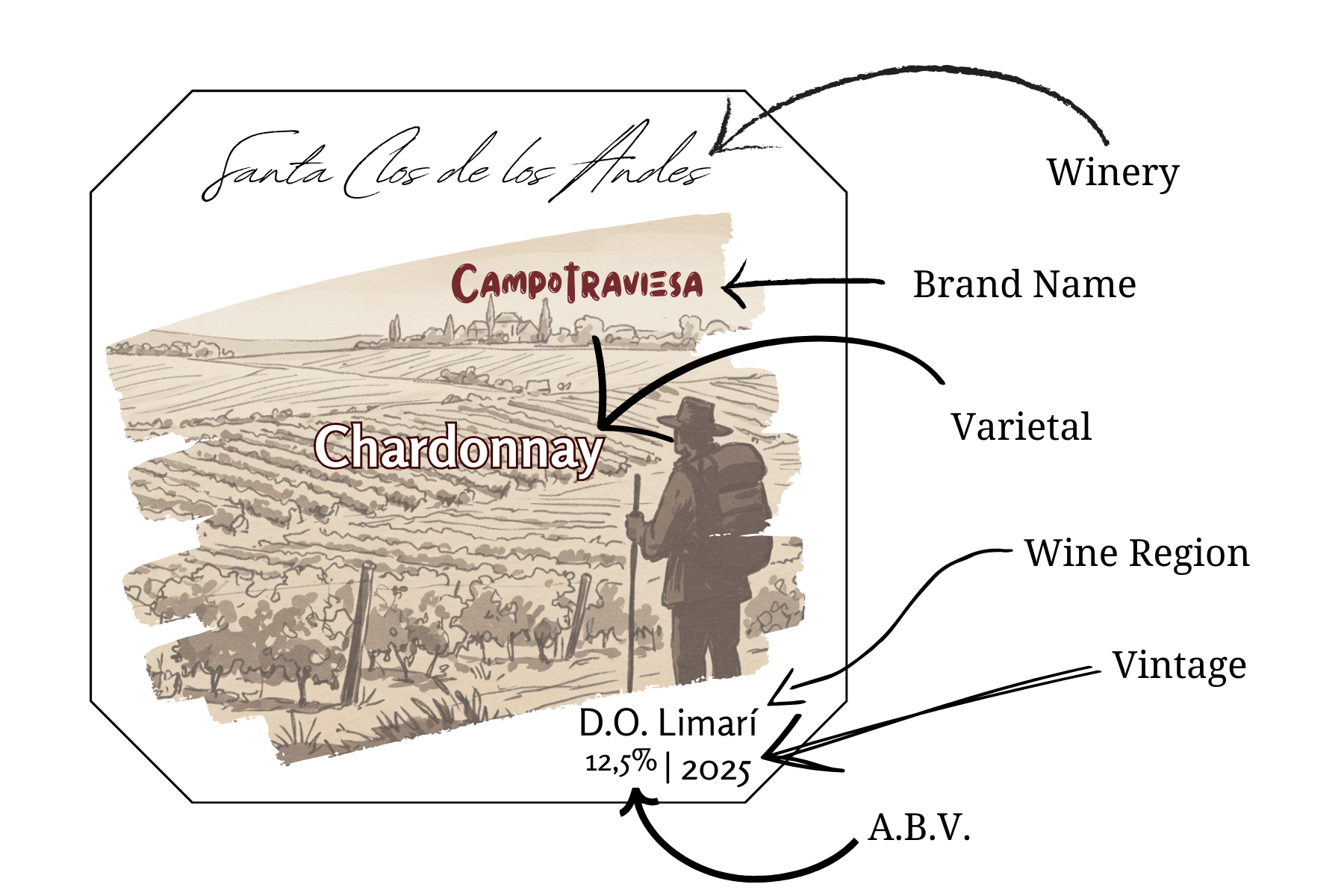 How to Read a Chilean Wine Label