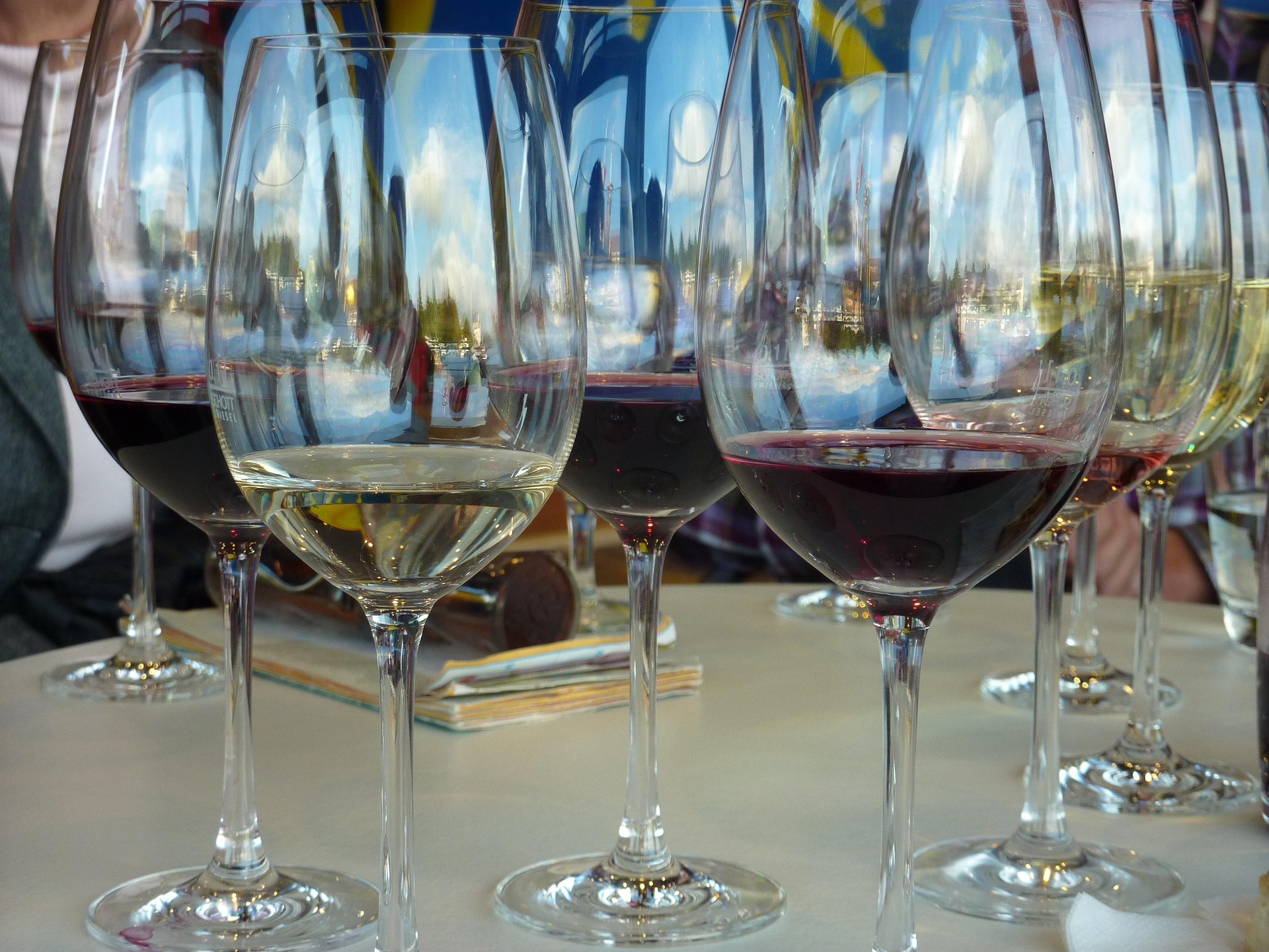 Chilean wine regions offer plenty of grape diversity