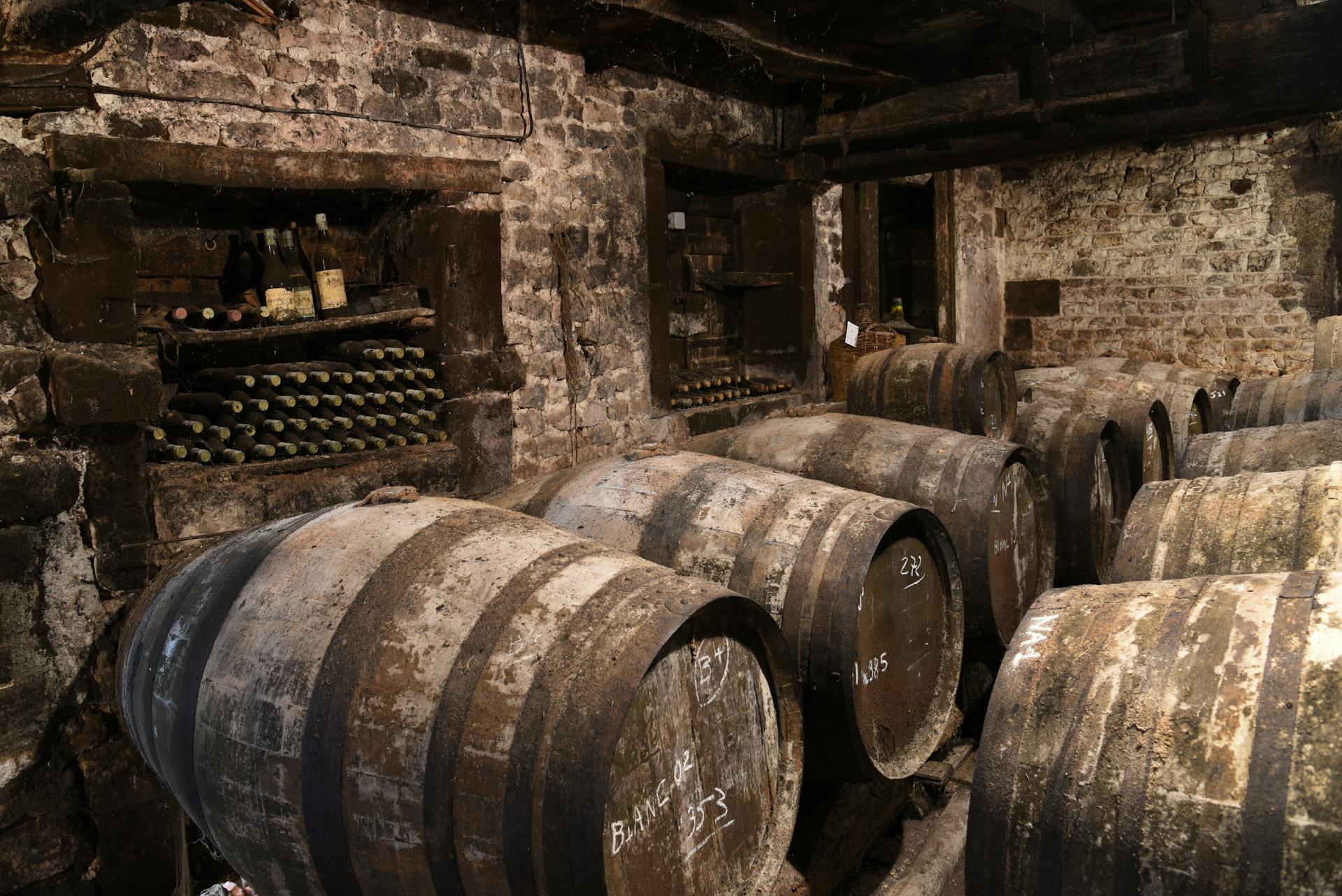 Wine cellar