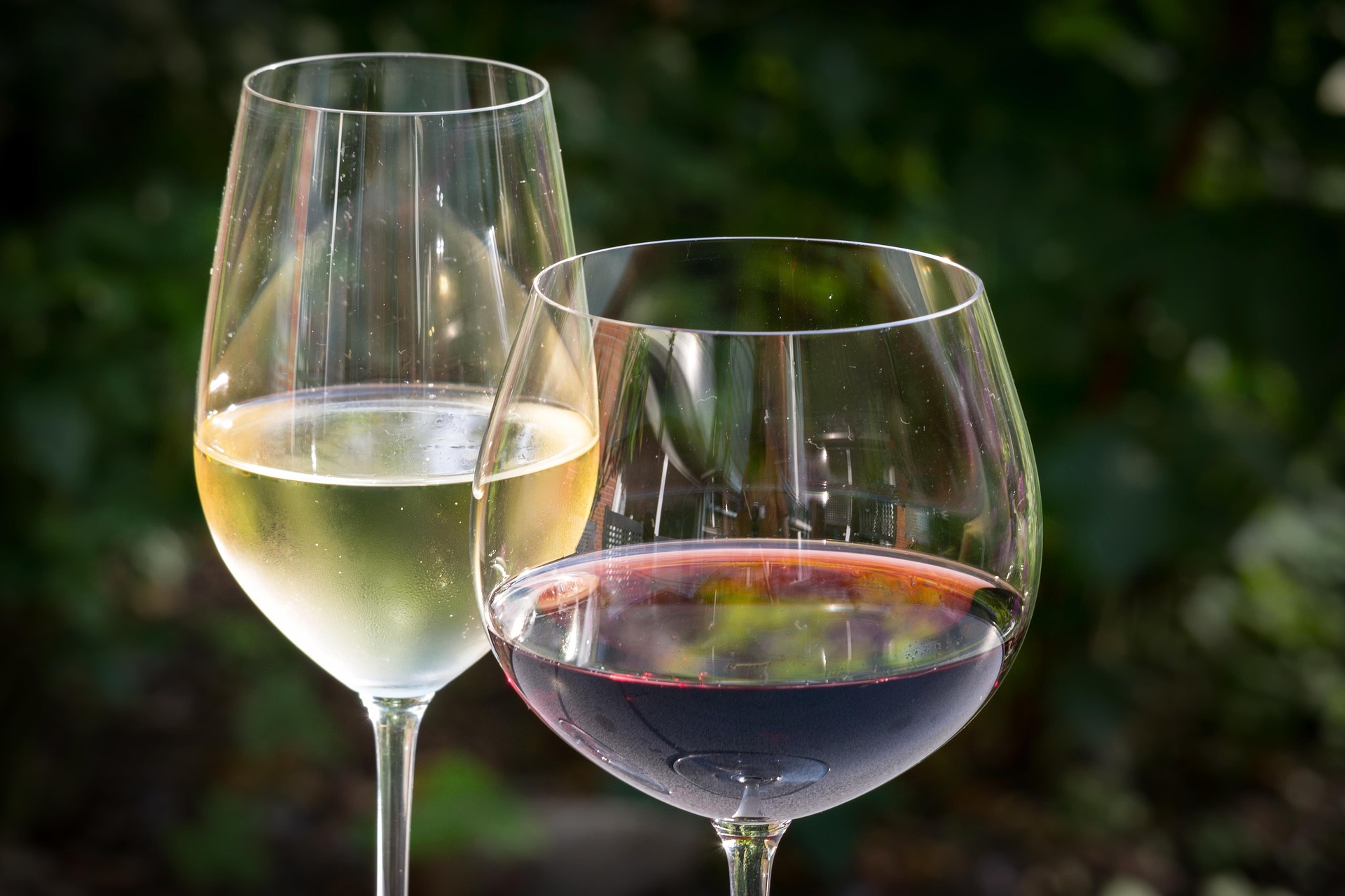 Do You Need a Different Wine Glass for Every Wine? Here’s the Answer