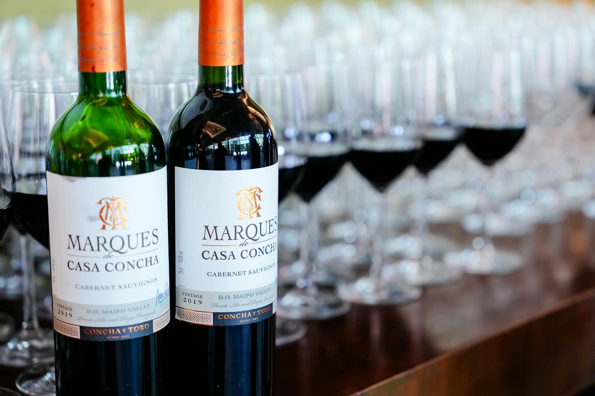 The Maipo wine region is known as "the Bordeaux of South America"