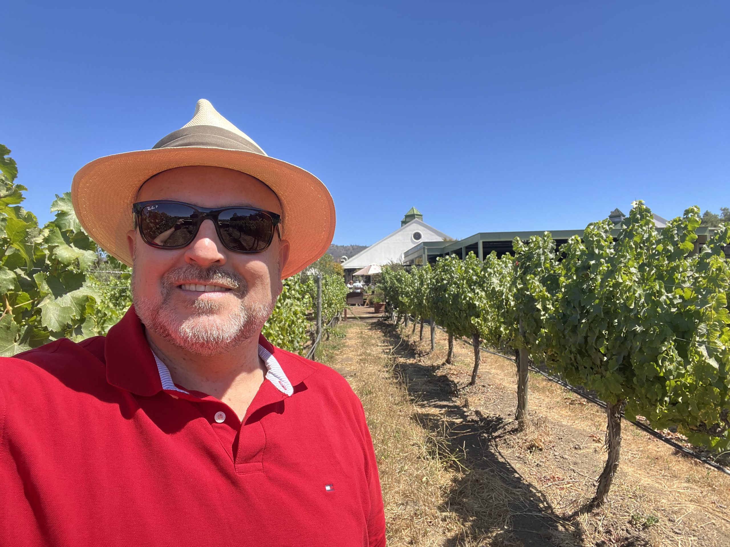 Me in a Casablanca valley vineyard