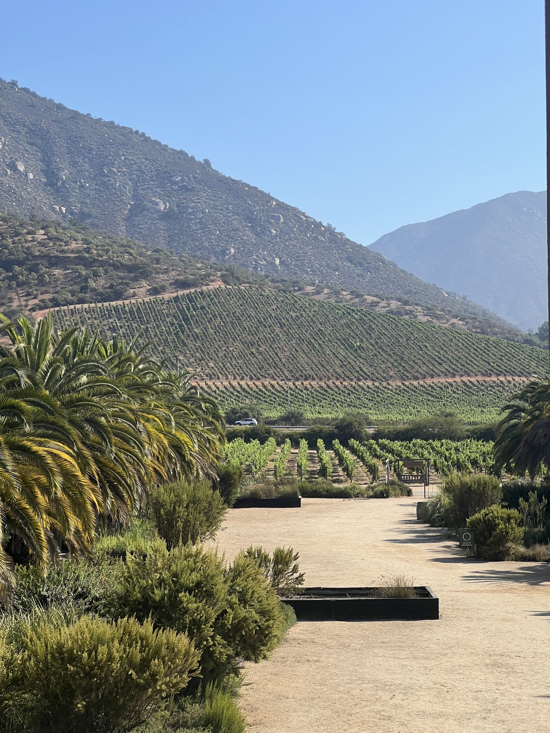 The coastal cordillera is a staple in the Casablanca wine region