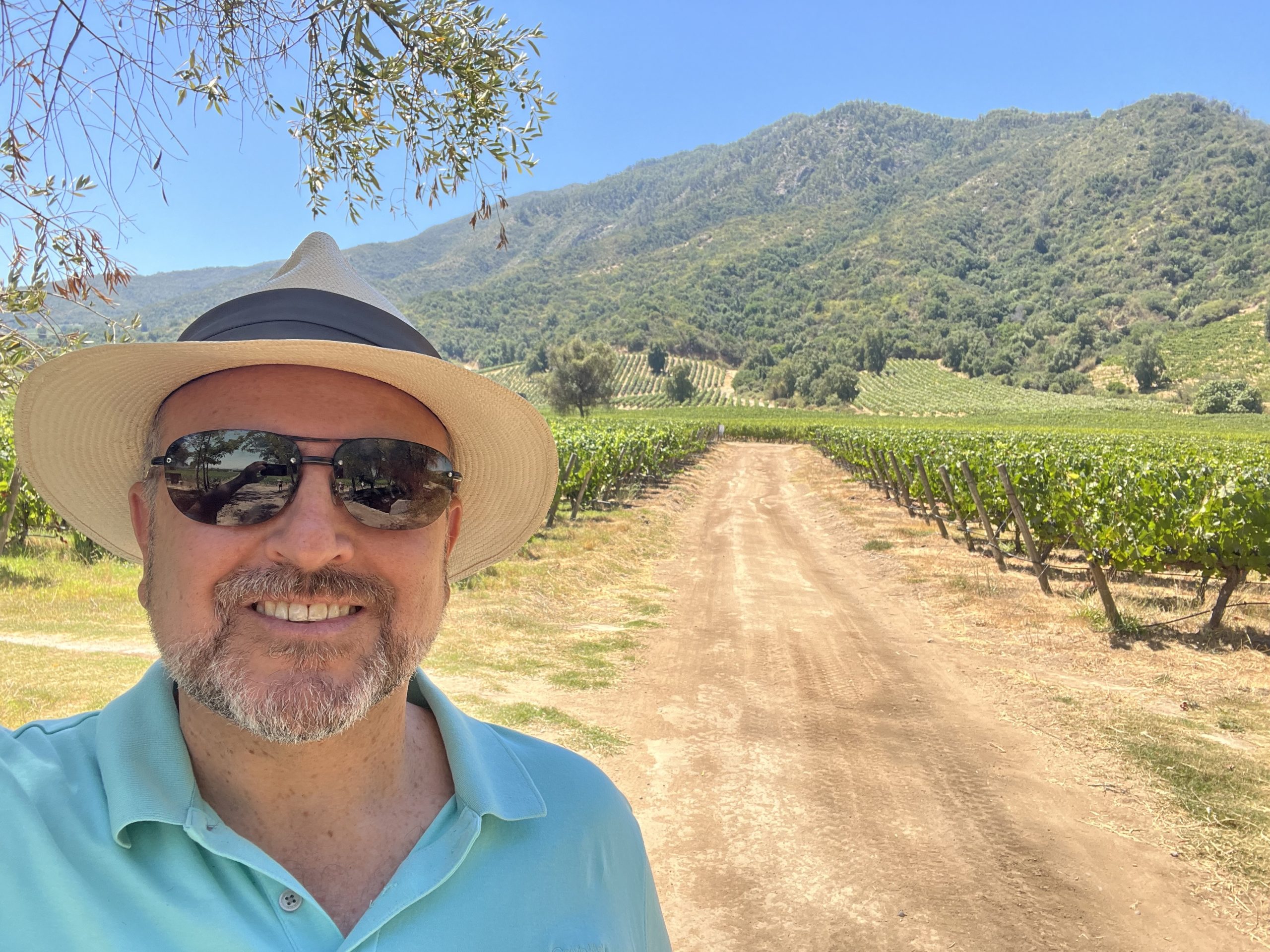 Me, with vines behind in the Colchagua wine region