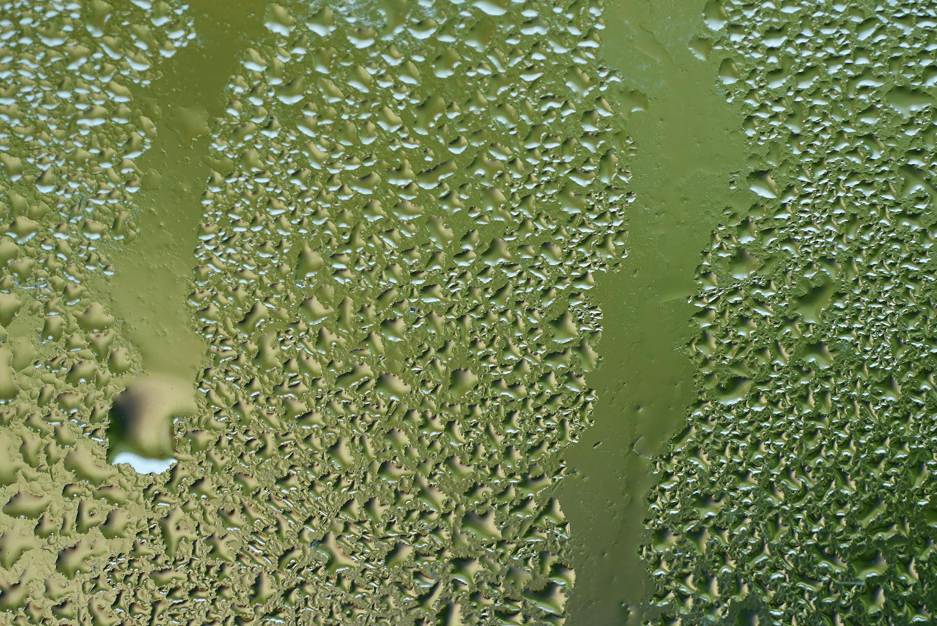 Humidity, one of wine's enemies