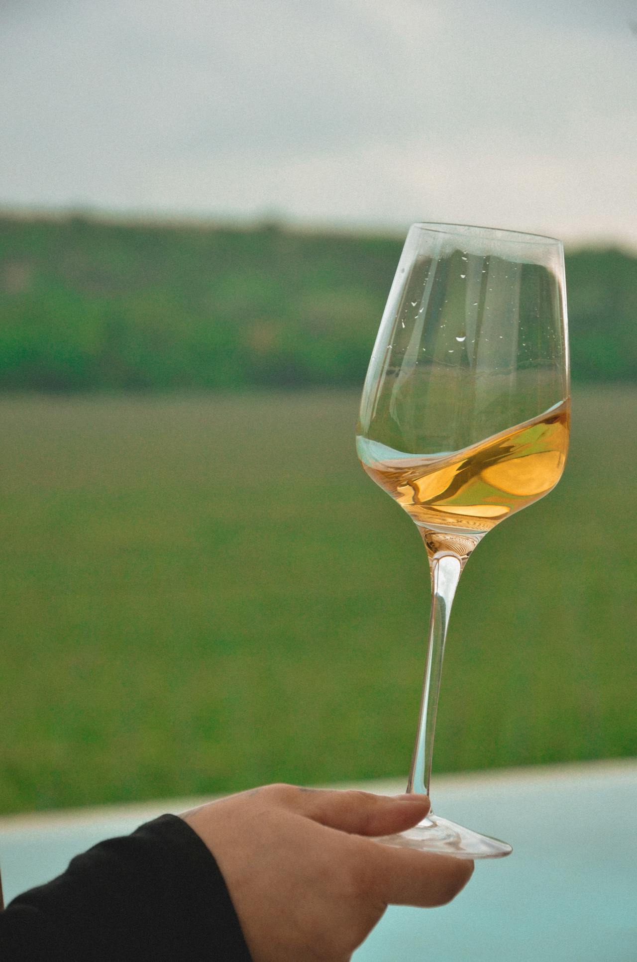 A Glass of golden Sémillon
