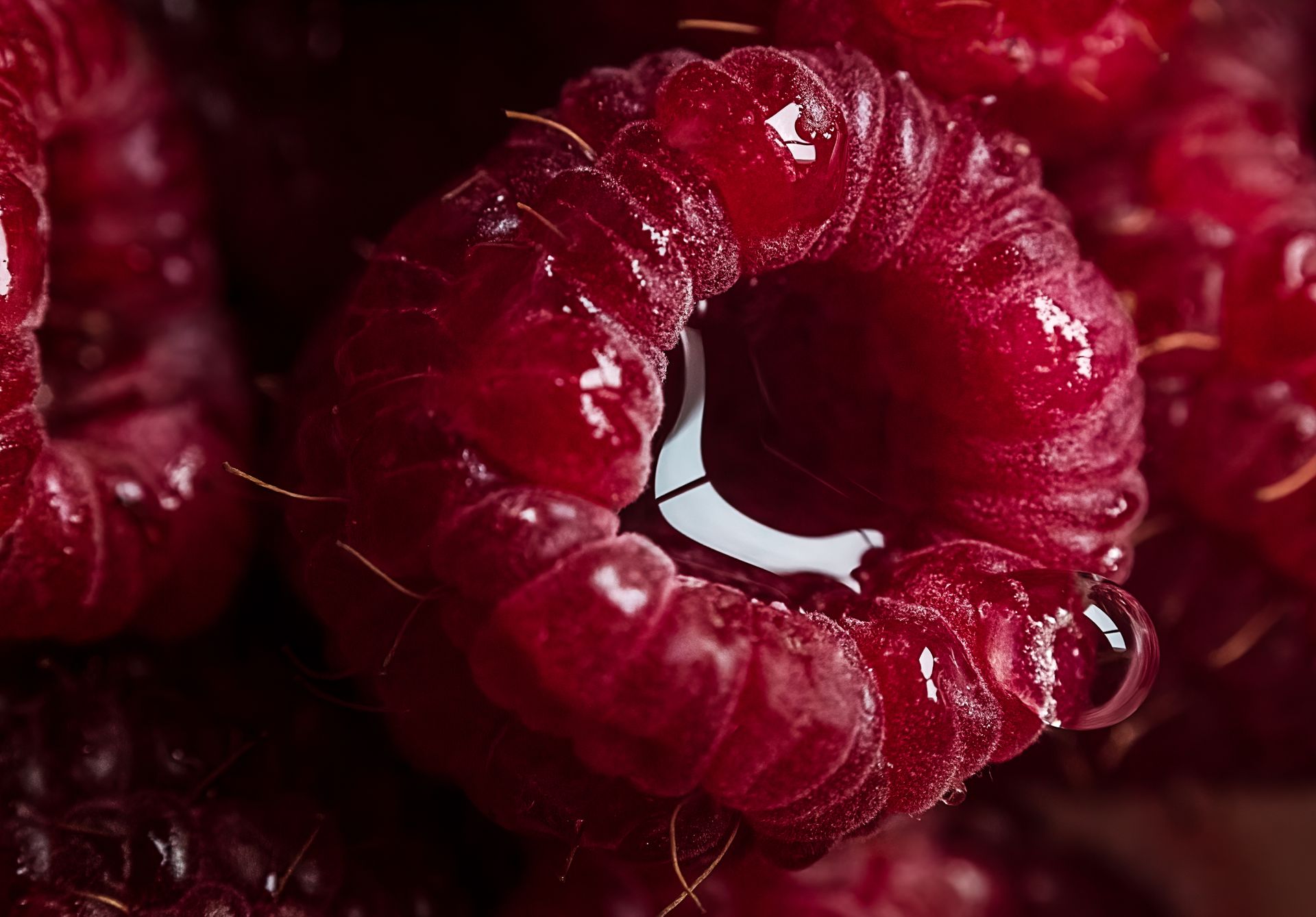 Raspberries are part of our wine language