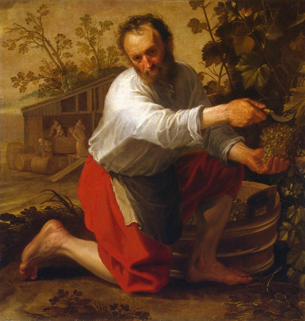The Wine Grower