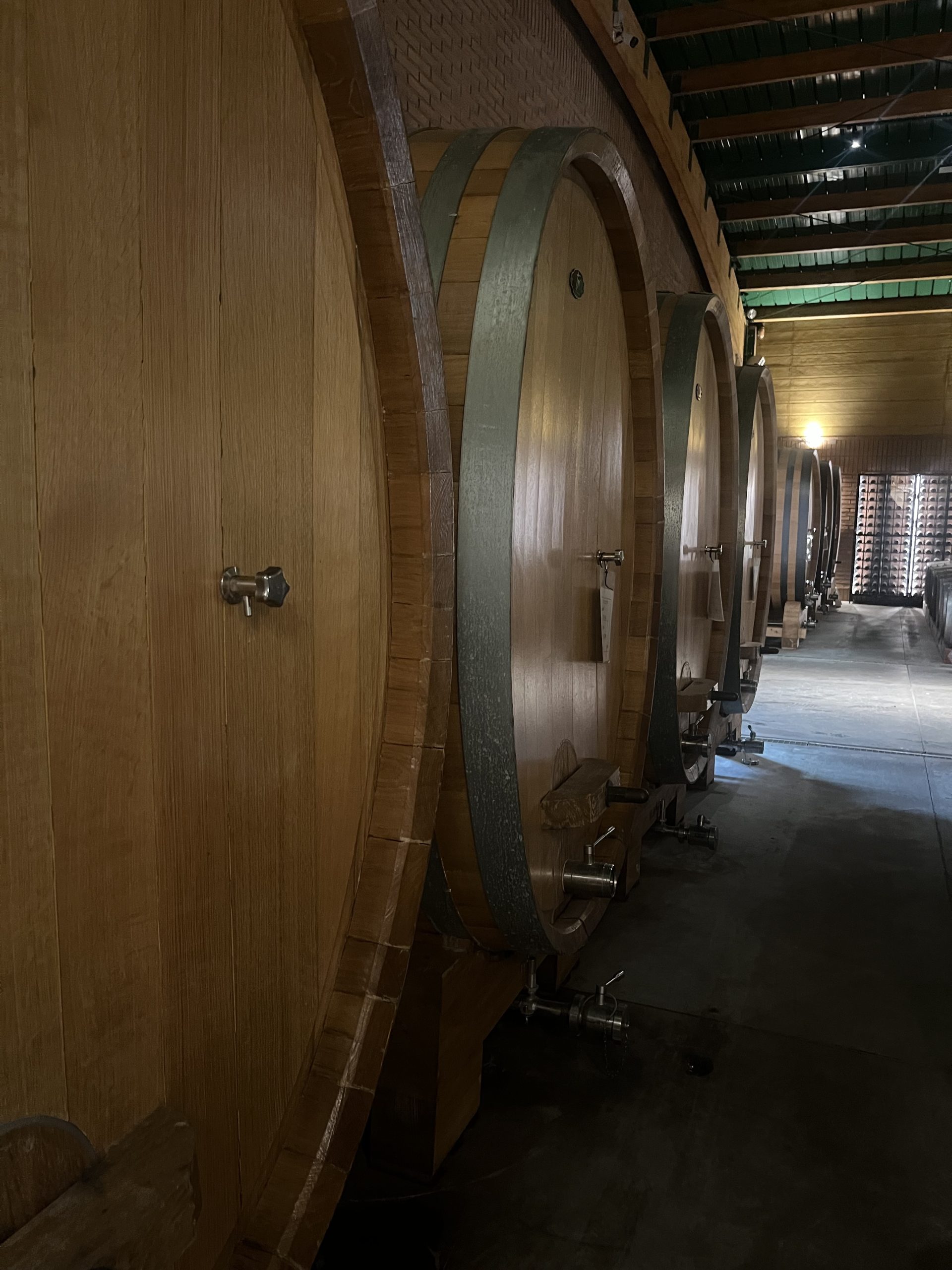 Large Oak wine aging vessel